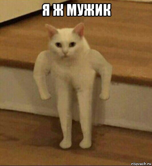 я ж мужик , Мем  Полукот