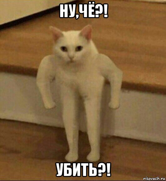 ну,чё?! убить?!, Мем  Полукот