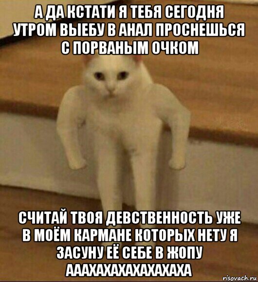 а да кстати я тебя сегодня утром выебу в анал проснешься с порваным очком считай твоя девственность уже в моём кармане которых нету я засуну её себе в жопу ааахахахахахахаха, Мем  Полукот