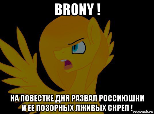 brony ! на повестке дня развал россиюшки и ее позорных лживых скреп !