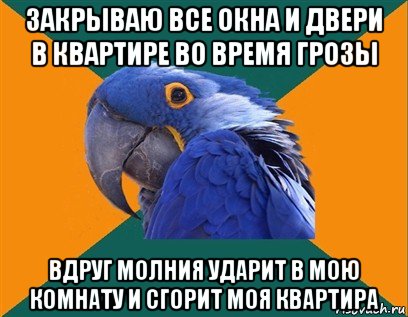 закрываю все окна и двери в квартире во время грозы вдруг молния ударит в мою комнату и сгорит моя квартира, Мем Попугай параноик