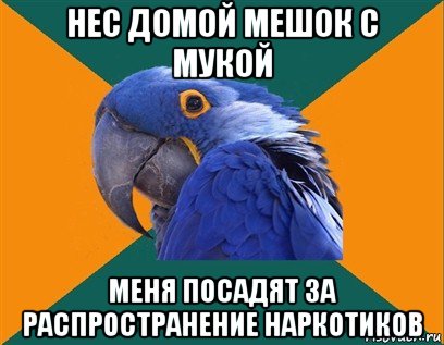 нес домой мешок с мукой меня посадят за распространение наркотиков, Мем Попугай параноик