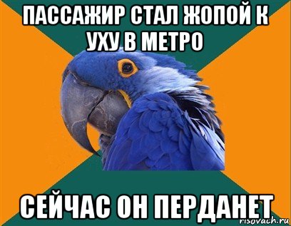 пассажир стал жопой к уху в метро сейчас он перданет, Мем Попугай параноик