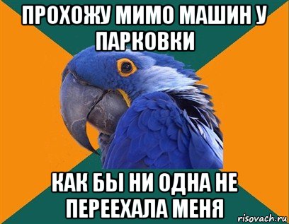 прохожу мимо машин у парковки как бы ни одна не переехала меня, Мем Попугай параноик