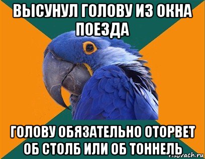 высунул голову из окна поезда голову обязательно оторвет об столб или об тоннель, Мем Попугай параноик