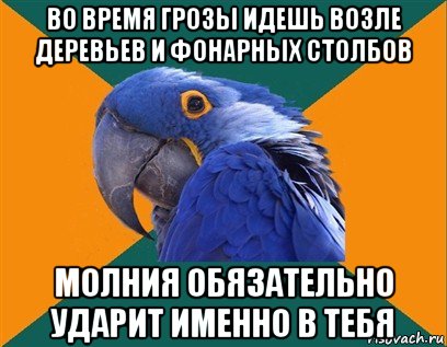 во время грозы идешь возле деревьев и фонарных столбов молния обязательно ударит именно в тебя