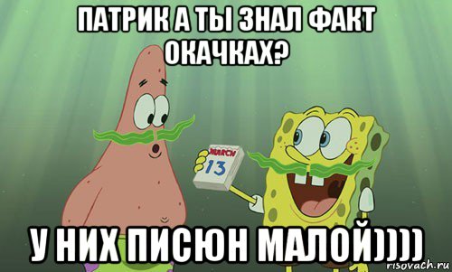 патрик а ты знал факт окачках? у них писюн малой)))), Мем просрали 8 марта