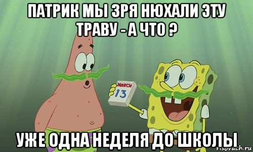 патрик мы зря нюхали эту траву - а что ? уже одна неделя до школы, Мем просрали 8 марта