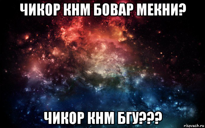 чикор кнм бовар мекни? чикор кнм бгу???