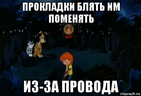 прокладки блять им поменять из-за провода, Мем Простоквашино закапывает