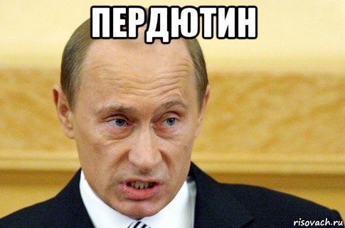 пердютин , Мем путин