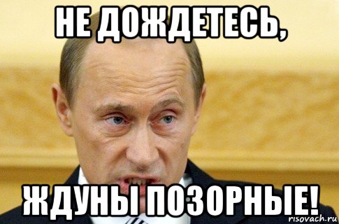 не дождетесь, ждуны позорные!, Мем путин