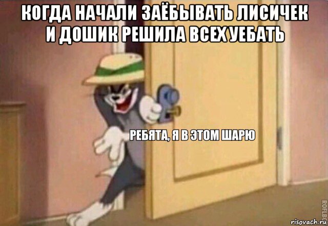 когда начали заёбывать лисичек и дошик решила всех уебать , Мем    Ребята я в этом шарю