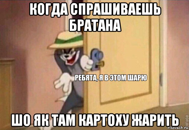 когда спрашиваешь братана шо як там картоху жарить, Мем    Ребята я в этом шарю