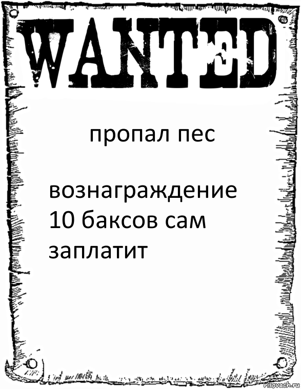 пропал пес вознаграждение 10 баксов сам заплатит