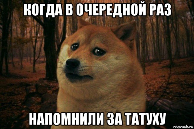 когда в очередной раз напомнили за татуху, Мем SAD DOGE