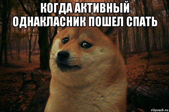 когда активный однакласник пошел спать , Мем SAD DOGE