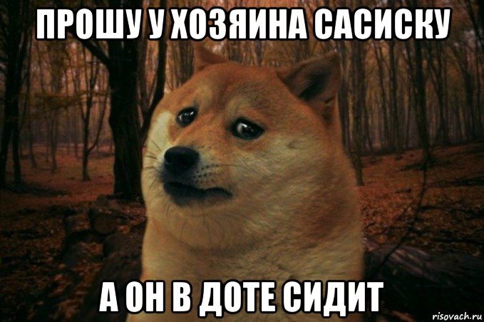 прошу у хозяина сасиску а он в доте сидит, Мем SAD DOGE