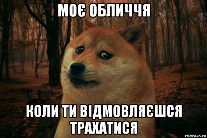 моє обличчя коли ти відмовляєшся трахатися, Мем SAD DOGE