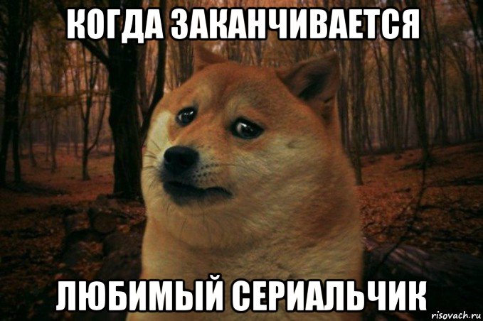 когда заканчивается любимый сериальчик, Мем SAD DOGE