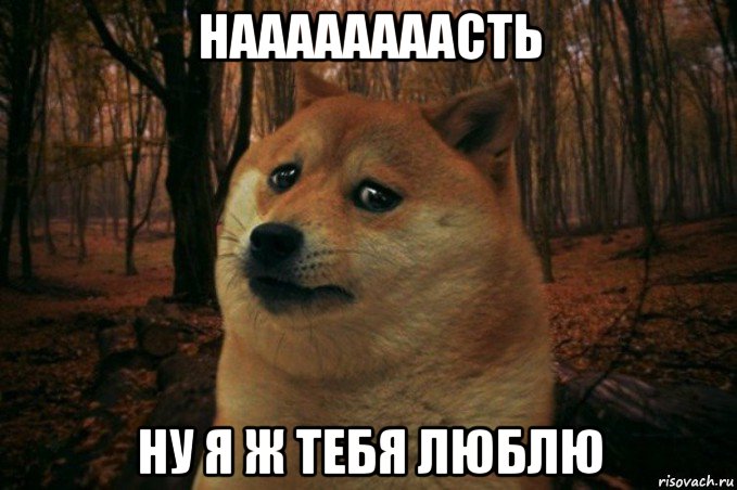 наааааааасть ну я ж тебя люблю, Мем SAD DOGE