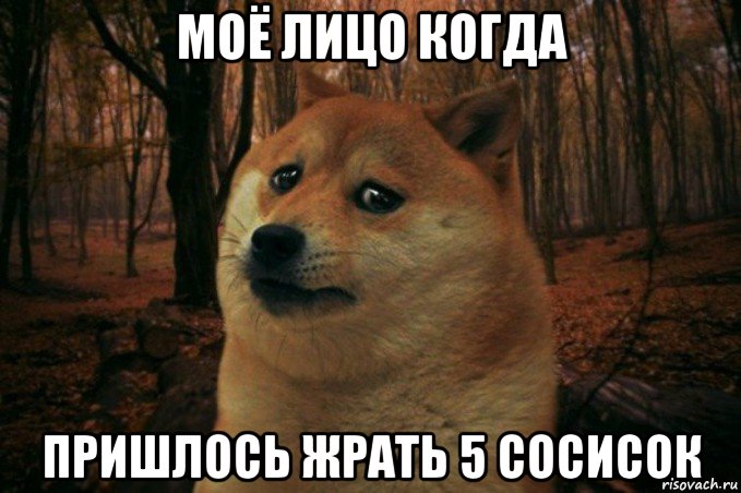 моё лицо когда пришлось жрать 5 сосисок, Мем SAD DOGE