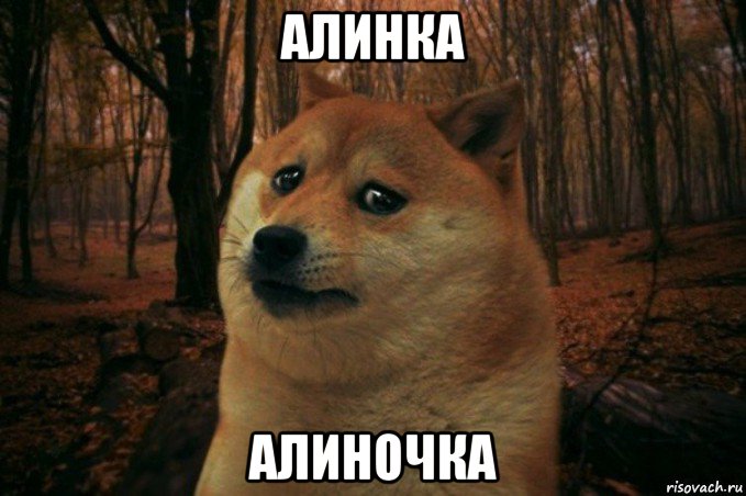 алинка алиночка, Мем SAD DOGE