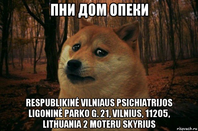 пни дом опеки respublikinė vilniaus psichiatrijos ligoninė parko g. 21, vilnius, 11205, lithuania 2 moteru skyrius, Мем SAD DOGE