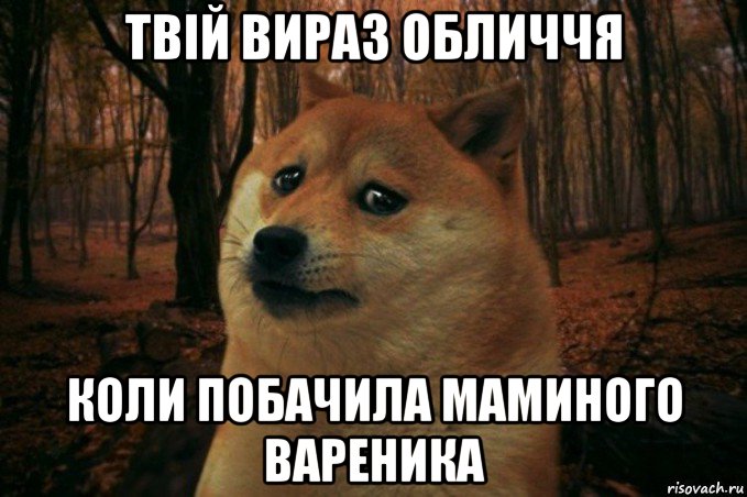 твій вираз обличчя коли побачила маминого вареника, Мем SAD DOGE