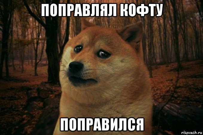 поправлял кофту поправился, Мем SAD DOGE