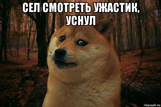 сел смотреть ужастик, уснул , Мем SAD DOGE