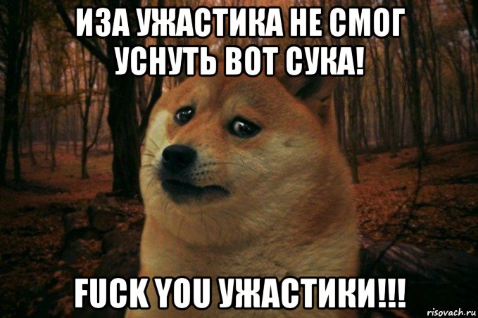 иза ужастика не смог уснуть вот сука! fuck you ужастики!!!, Мем SAD DOGE