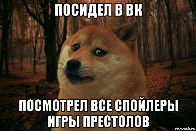 посидел в вк посмотрел все спойлеры игры престолов, Мем SAD DOGE