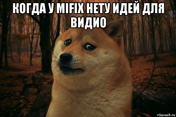 когда у mifix нету идей для видио , Мем SAD DOGE