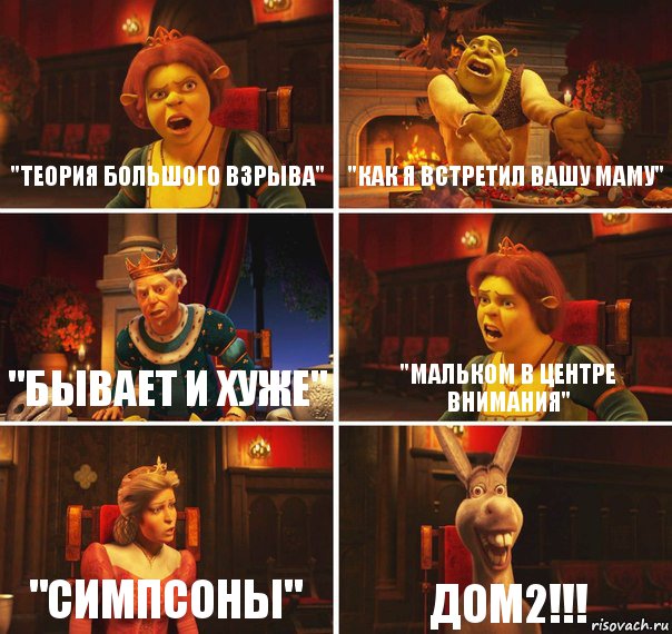 "Теория большого взрыва" "Как я встретил вашу маму" "Бывает и хуже" "Мальком в центре внимания" "Cимпсоны" ДОМ2!!!