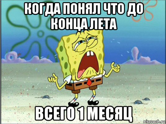 когда понял что до конца лета всего 1 месяц, Мем Спанч Боб плачет