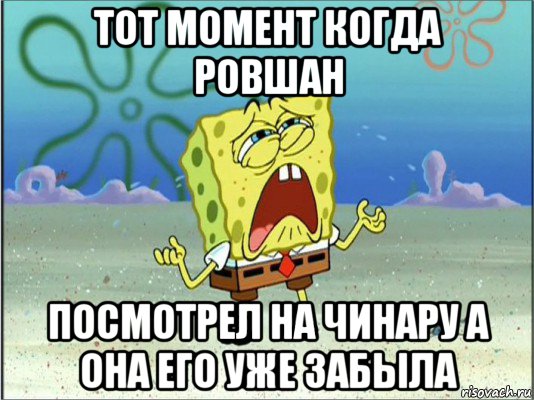 тот момент когда ровшан посмотрел на чинару а она его уже забыла, Мем Спанч Боб плачет