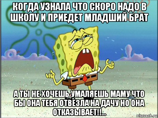 когда узнала что скоро надо в школу и приедет младший брат а ты не хочешь умаляешь маму что бы она тебя отвезла на дачу но она отказывает!!..., Мем Спанч Боб плачет