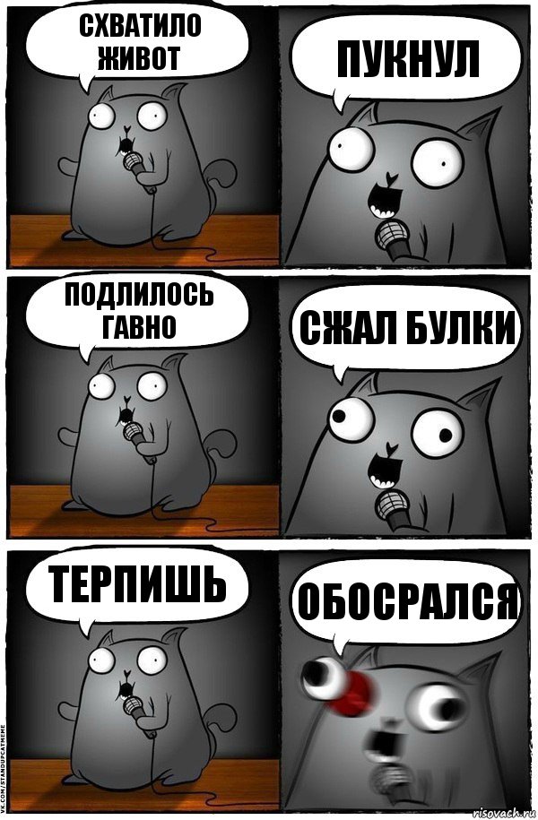 схватило живот пукнул подлилось гавно сжал булки терпишь обосрался, Комикс  Стендап-кот