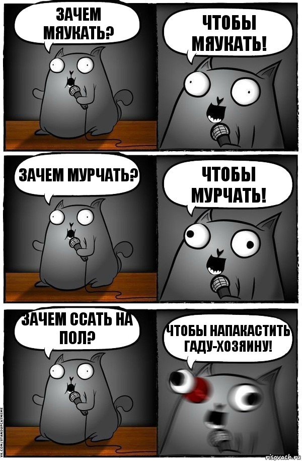 Зачем мяукать? Чтобы Мяукать! Зачем мурчать? Чтобы Мурчать! Зачем ссать на пол? Чтобы напакастить гаду-хозяину!, Комикс  Стендап-кот