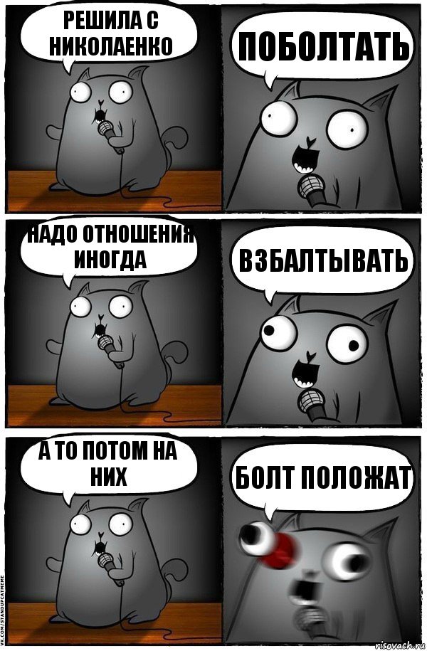 Решила с Николаенко поболтать надо отношения иногда взбалтывать а то потом на них болт положат, Комикс  Стендап-кот