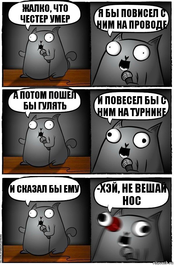 Жалко, что Честер умер Я бы повисел с ним на проводе А потом пошел бы гулять И повесел бы с ним на турнике И сказал бы ему -хэй, не вешай нос, Комикс  Стендап-кот