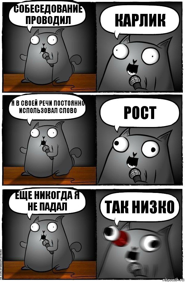 собеседование проводил КАРЛИК я в своей речи постоянно использовал слово РОСТ еще никогда я не падал ТАК НИЗКО