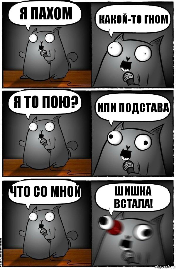 Я пахом Какой-то гном Я то пою? Или подстава Что со мной Шишка встала!, Комикс  Стендап-кот