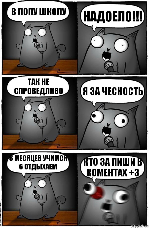 В ПОПУ ШКОЛУ НАДОЕЛО!!! ТАК НЕ СПРОВЕДЛИВО я ЗА ЧЕСНОСТЬ 6 мЕСЯЦЕВ УЧИМСЯ 6 ОТДЫХАЕМ кто за пиши в коментах +3, Комикс  Стендап-кот