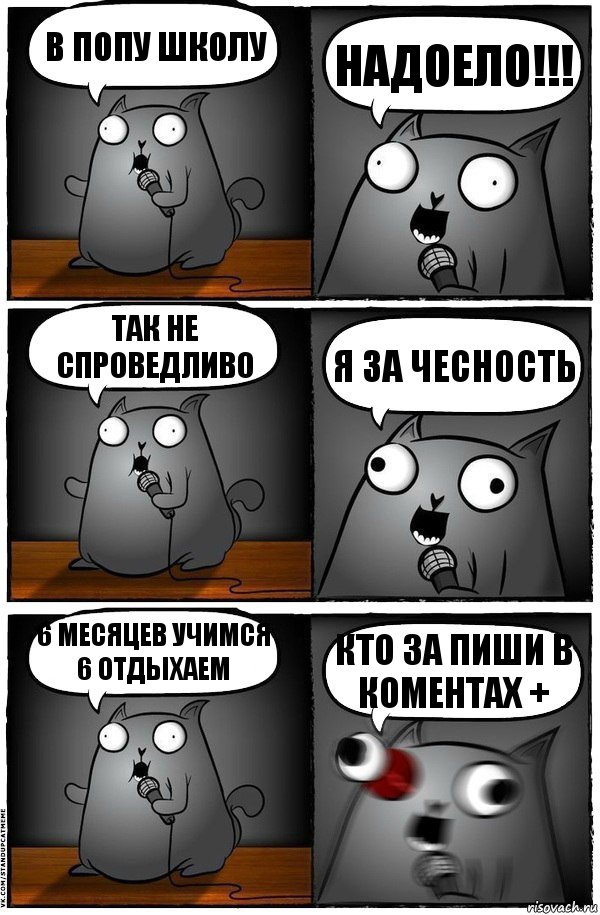 В ПОПУ ШКОЛУ НАДОЕЛО!!! ТАК НЕ СПРОВЕДЛИВО я ЗА ЧЕСНОСТЬ 6 мЕСЯЦЕВ УЧИМСЯ 6 ОТДЫХАЕМ кто за пиши в коментах +, Комикс  Стендап-кот