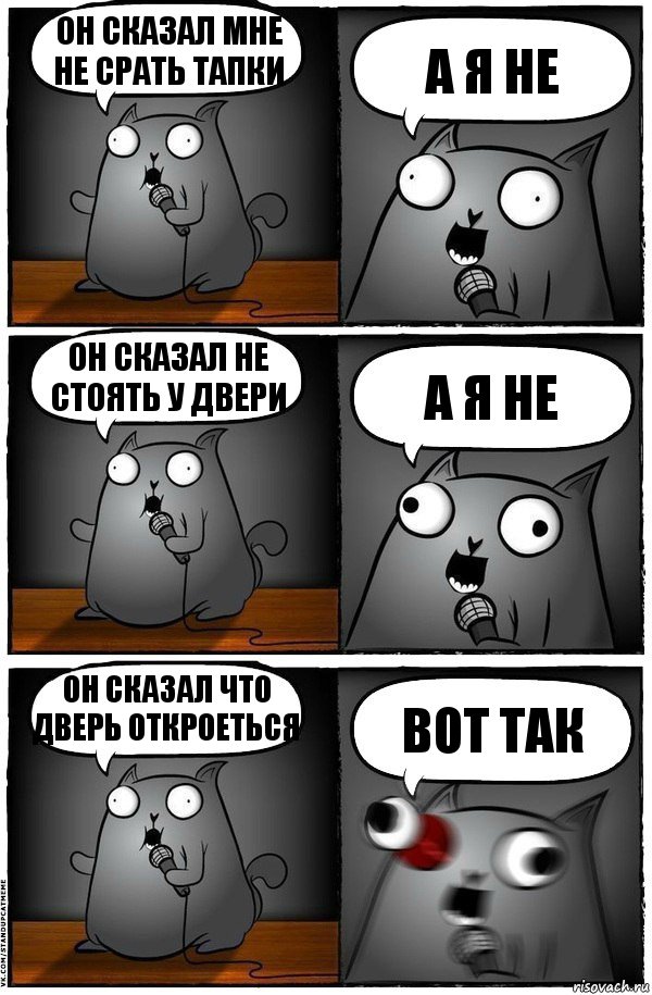 Он сказал мне не срать тапки А я не Он сказал не стоять у двери А я не ОН СКАЗАЛ ЧТО ДВЕРЬ ОТКРОЕТЬСЯ Вот так, Комикс  Стендап-кот