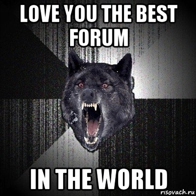 love you the best forum in the world, Мем Сумасшедший волк