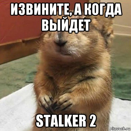 извините, а когда выйдет stalker 2, Мем Суслик спрашивает