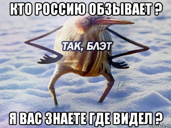 кто россию обзывает ? я вас знаете где видел ?, Мем  Так блэт птица с руками